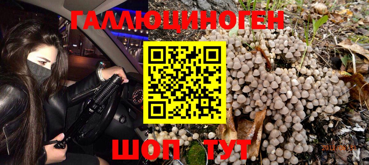 Галлюциногенные грибы мицелий Малоярославец