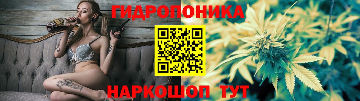 Каннабис MAZAR  Вход с VPN  Каннабис ГИДРОПОН  Малоярославец  Канабис план 